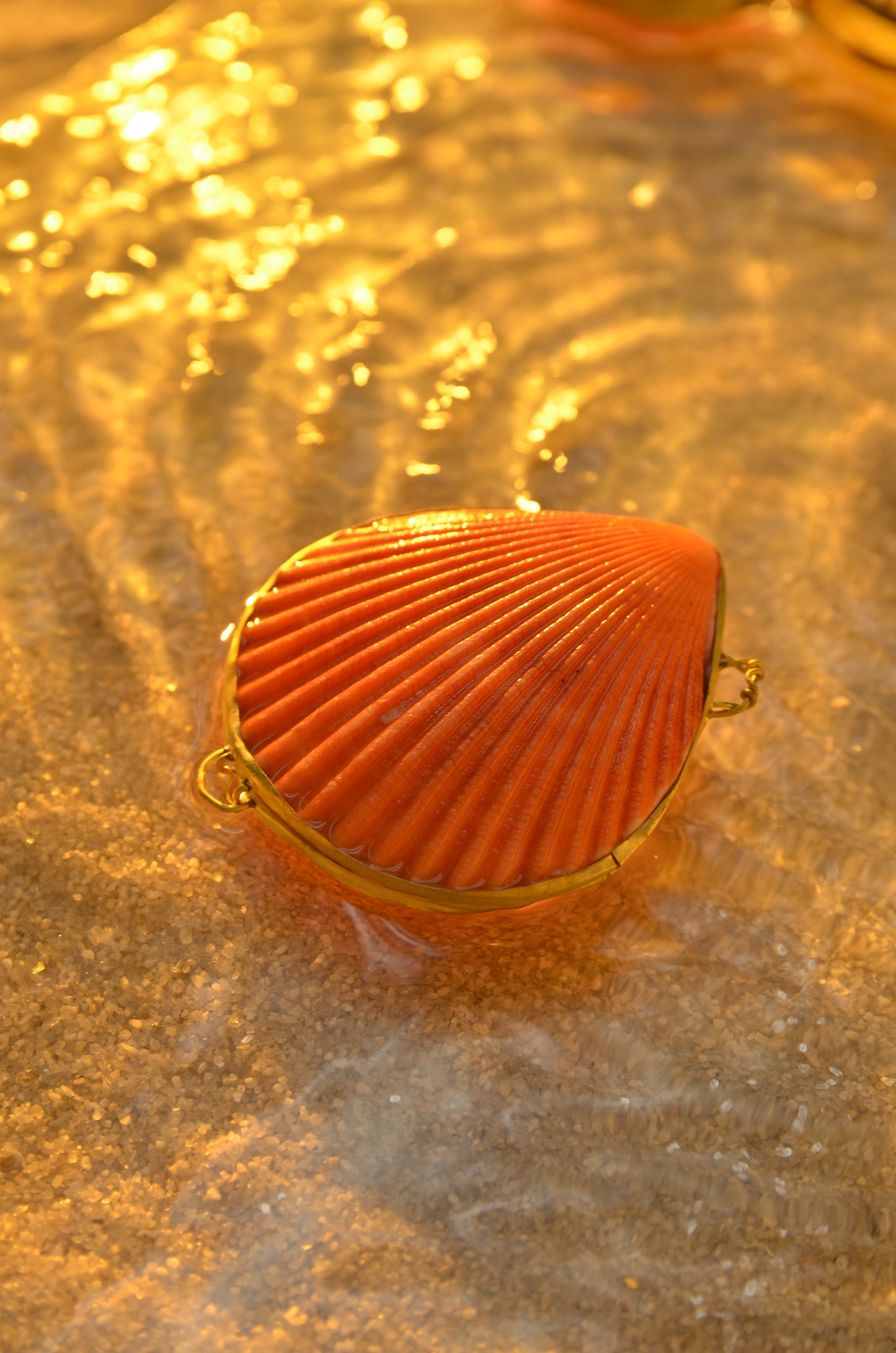 SEASHELL JEWELRY BOX - LIMITED EDITION