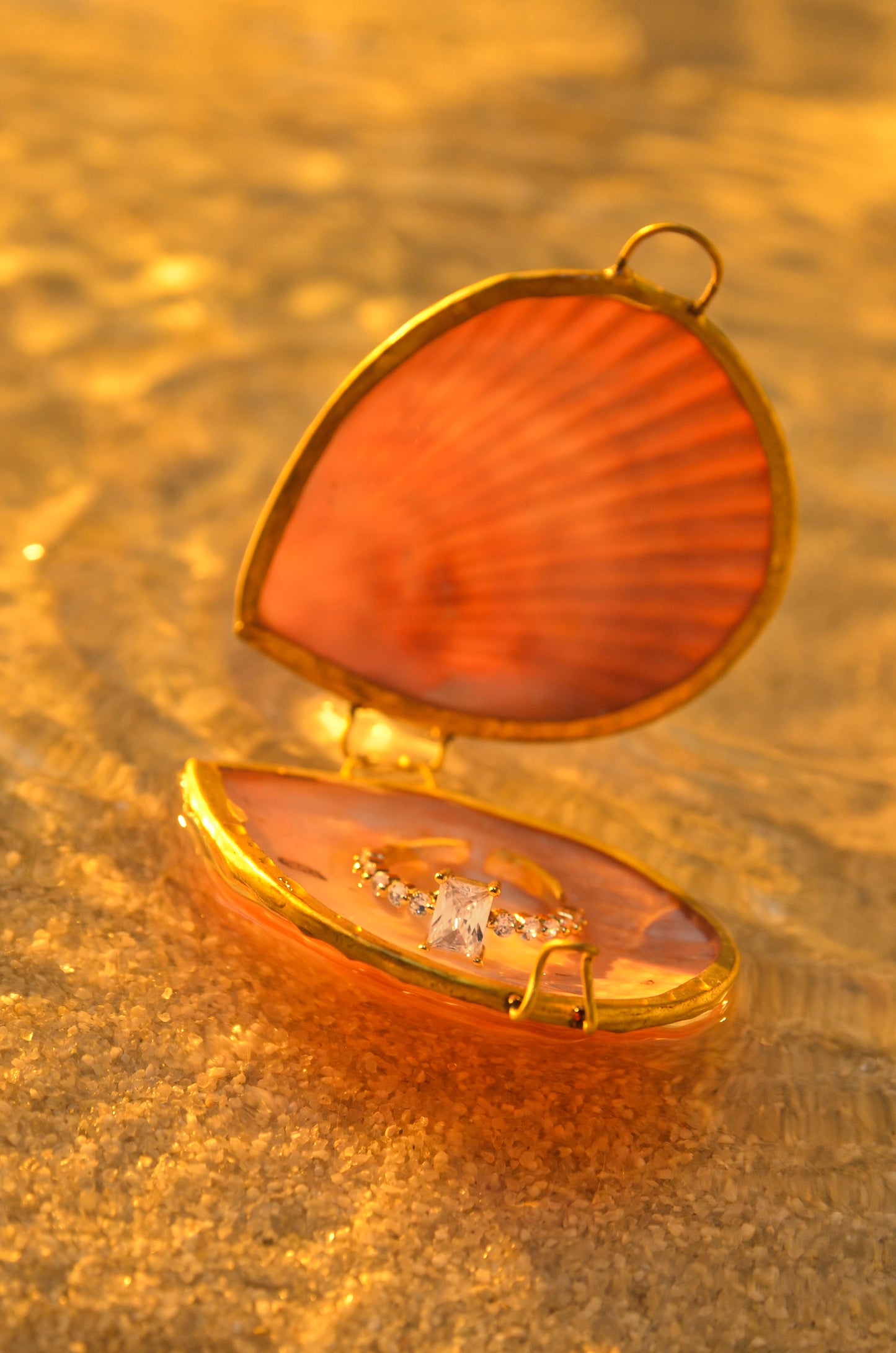 SEASHELL JEWELRY BOX - LIMITED EDITION