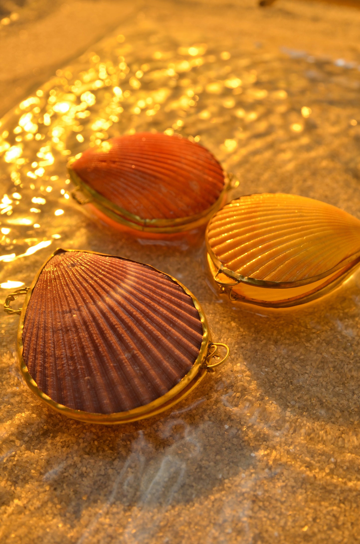 SEASHELL JEWELRY BOX - LIMITED EDITION