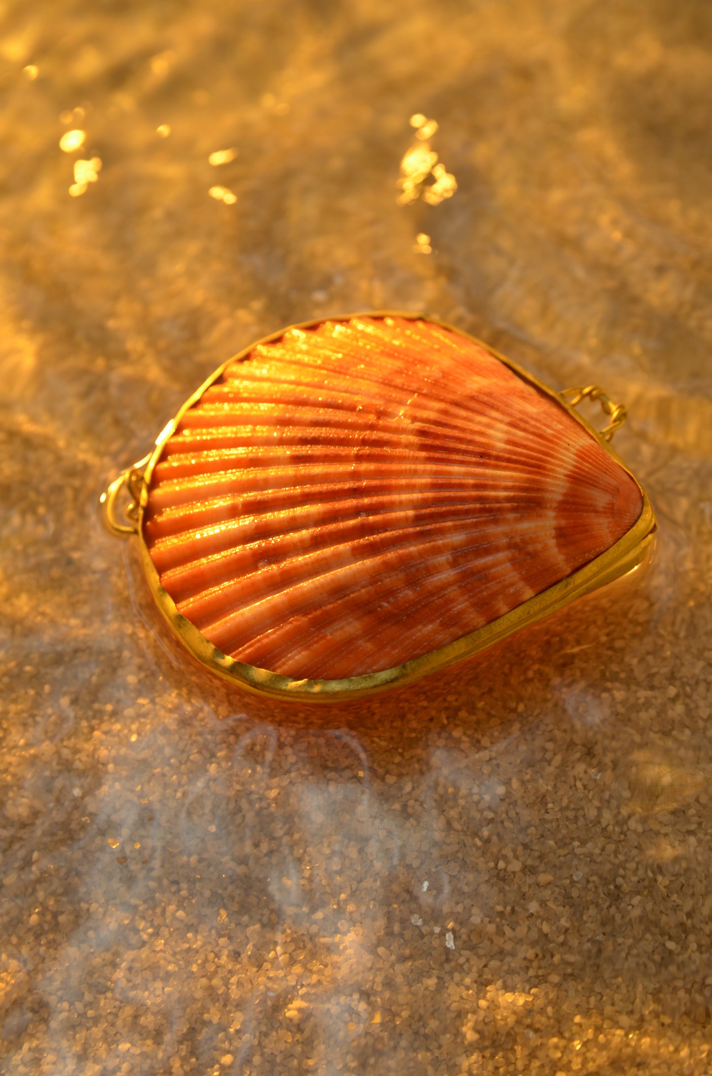 SEASHELL JEWELRY BOX - LIMITED EDITION