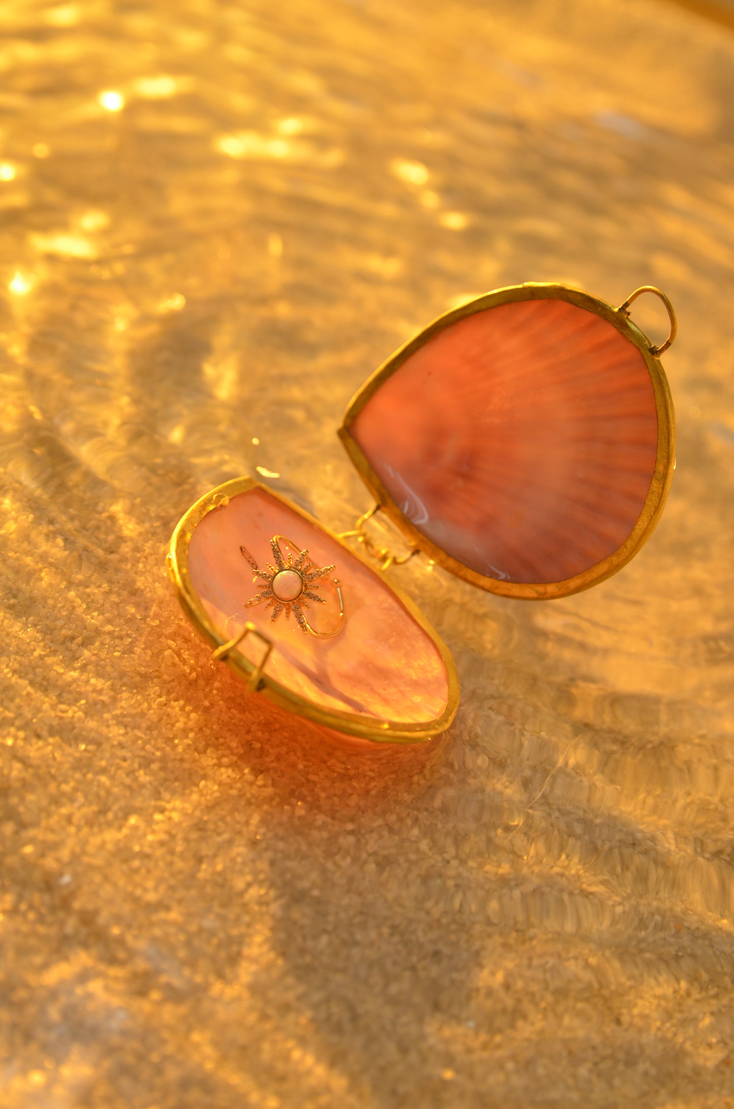 SEASHELL JEWELRY BOX - LIMITED EDITION