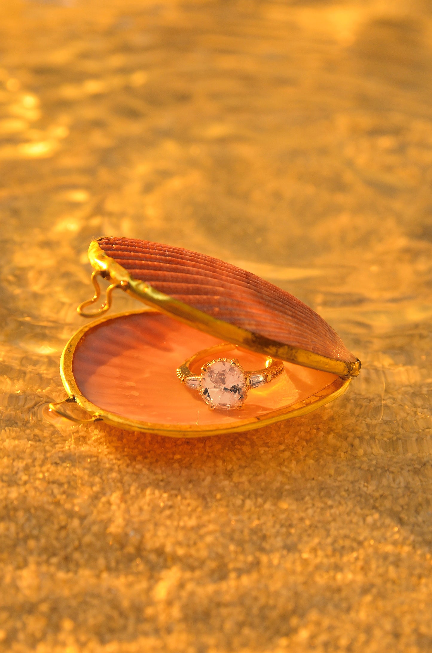 SEASHELL JEWELRY BOX - LIMITED EDITION