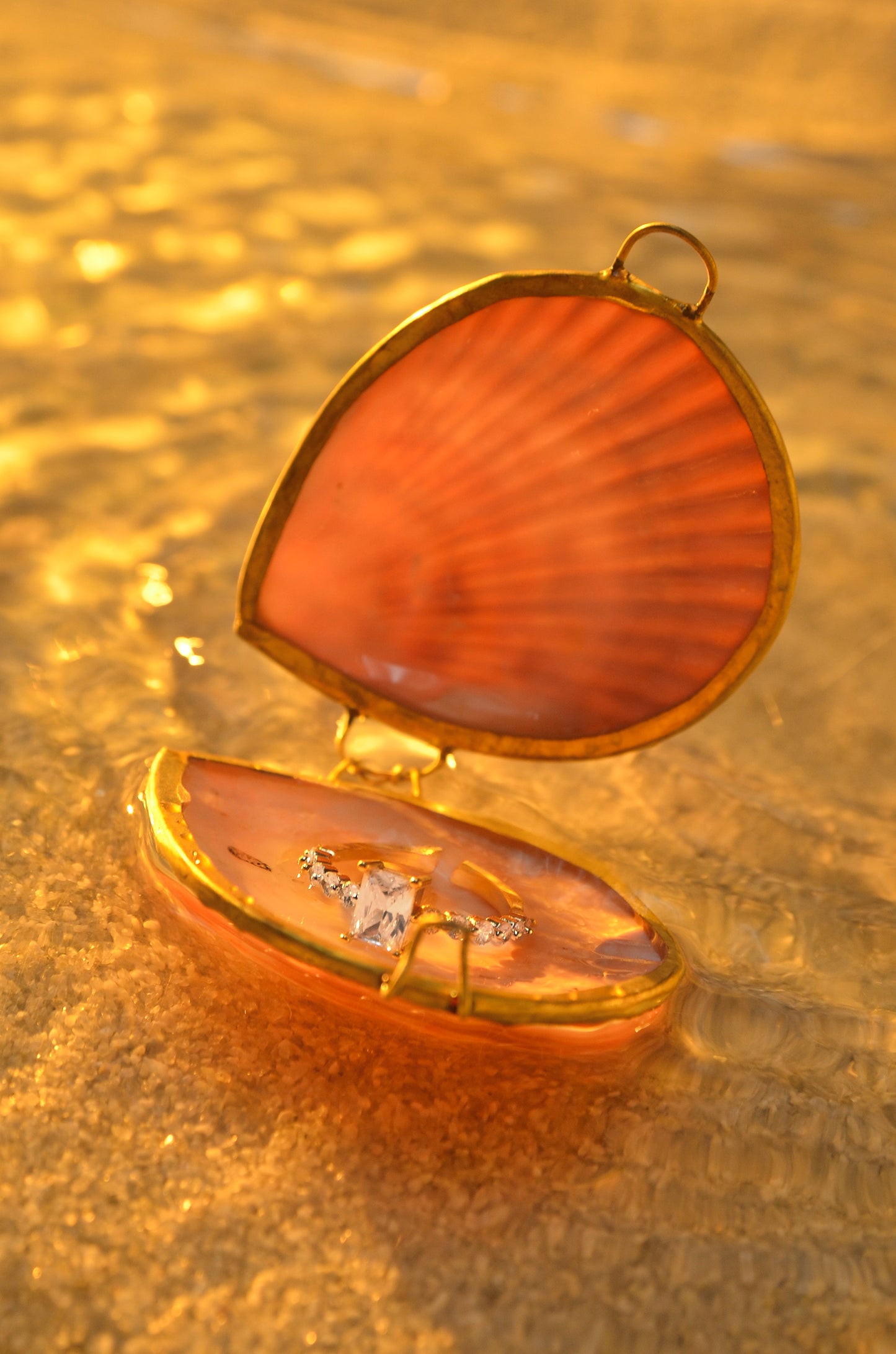 SEASHELL JEWELRY BOX - LIMITED EDITION