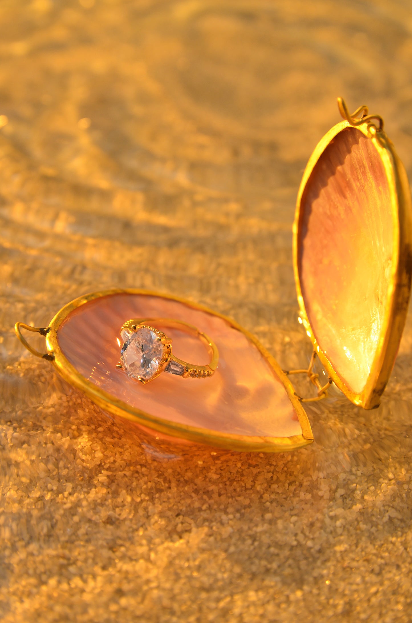 SEASHELL JEWELRY BOX - LIMITED EDITION