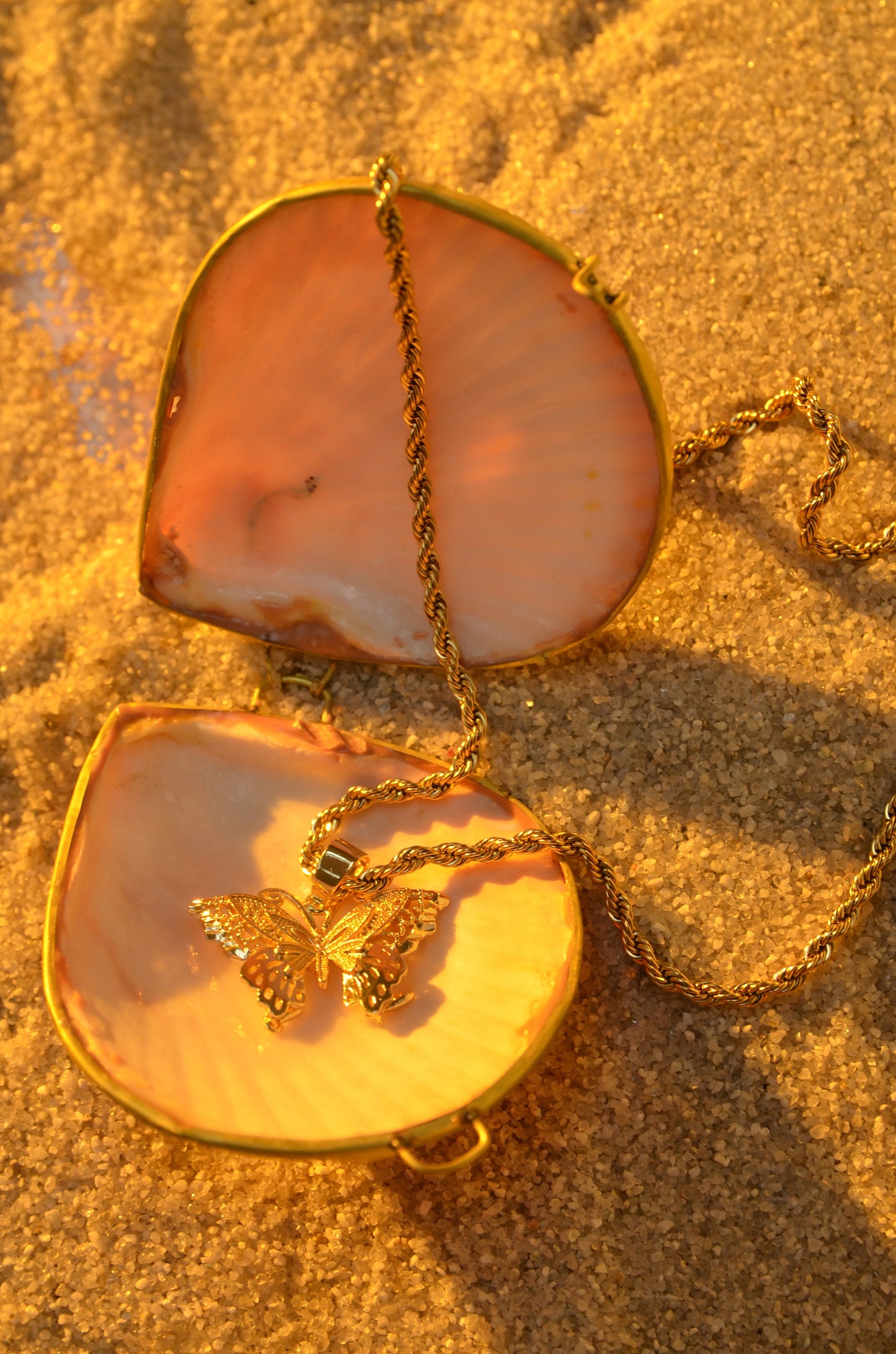 SEASHELL JEWELRY BOX - LIMITED EDITION