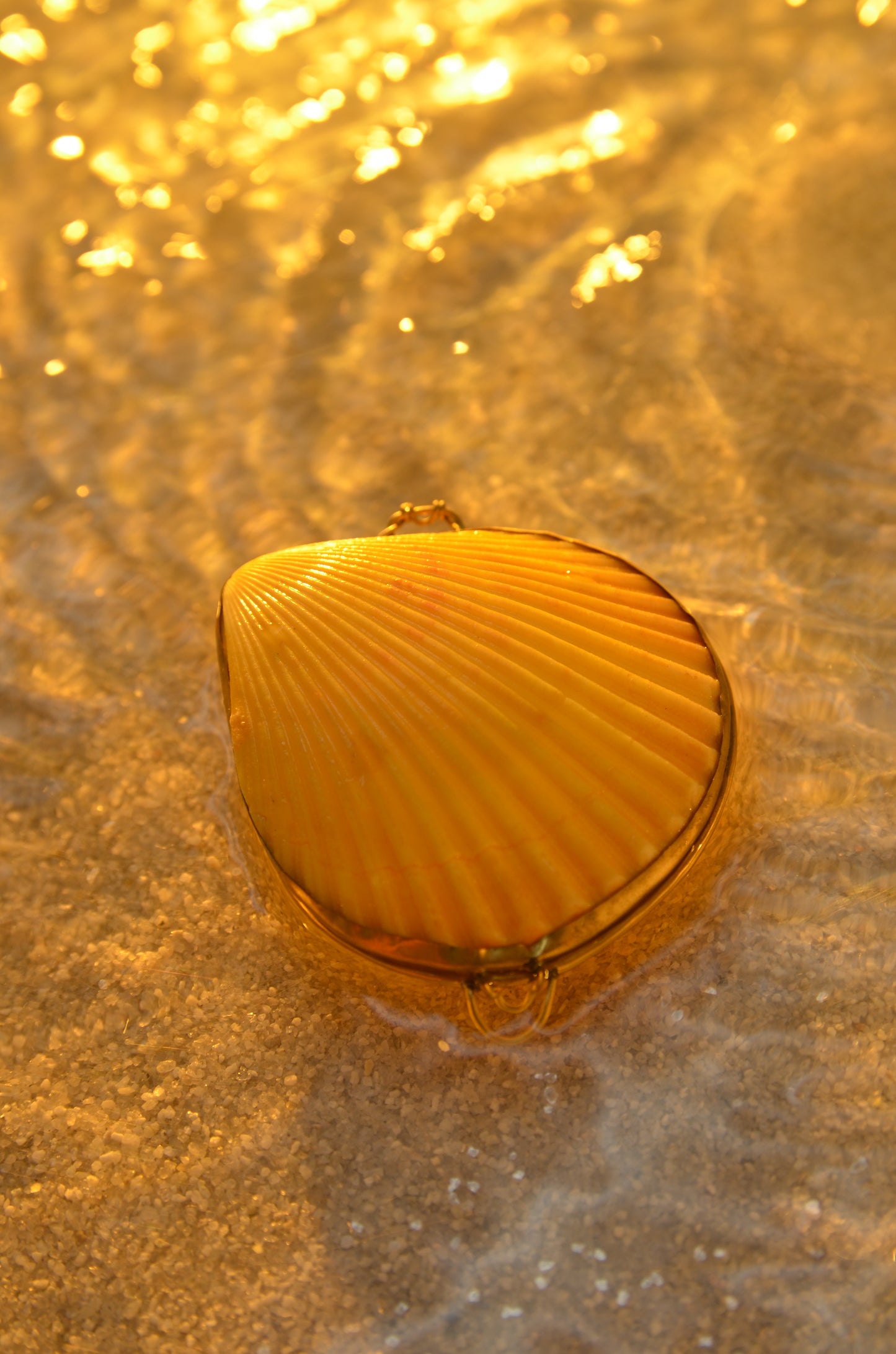 SEASHELL JEWELRY BOX - LIMITED EDITION