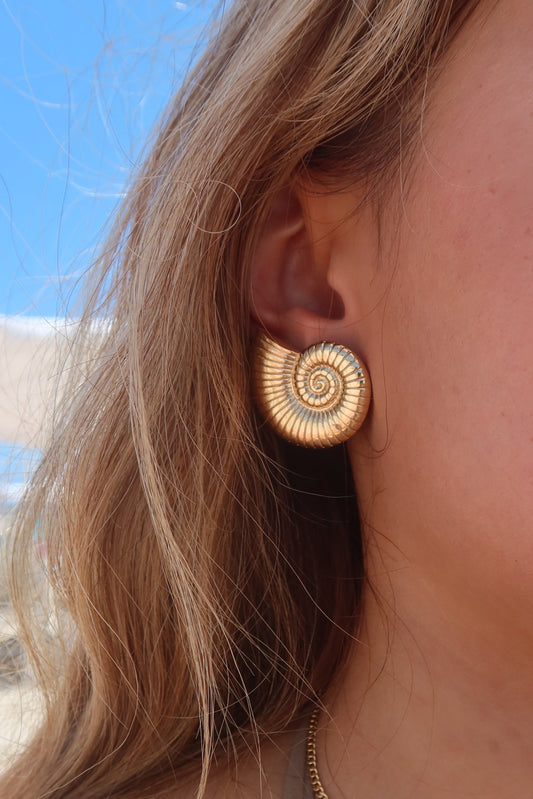 CONCH SHELL EARRINGS