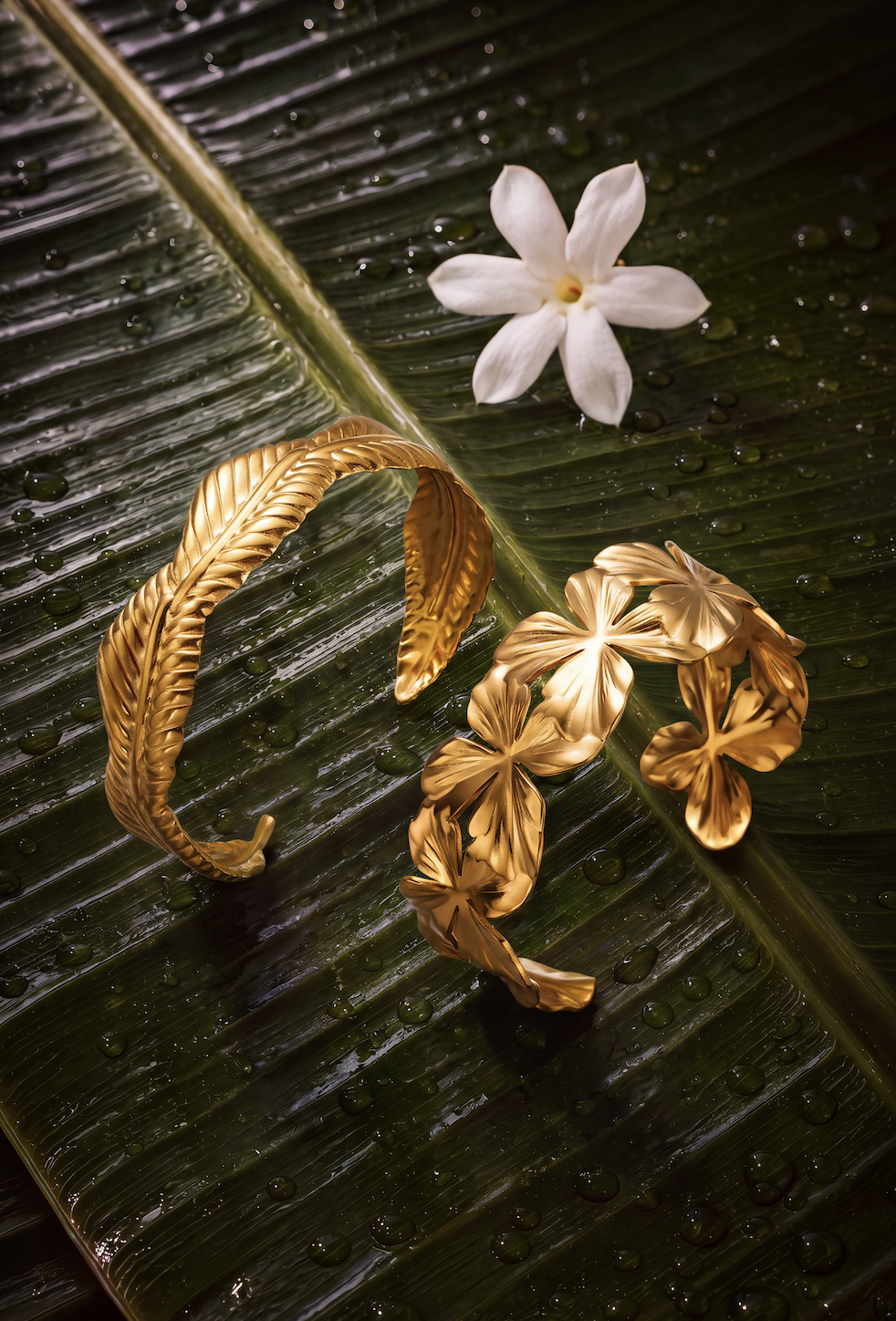 DAHON BANGLES