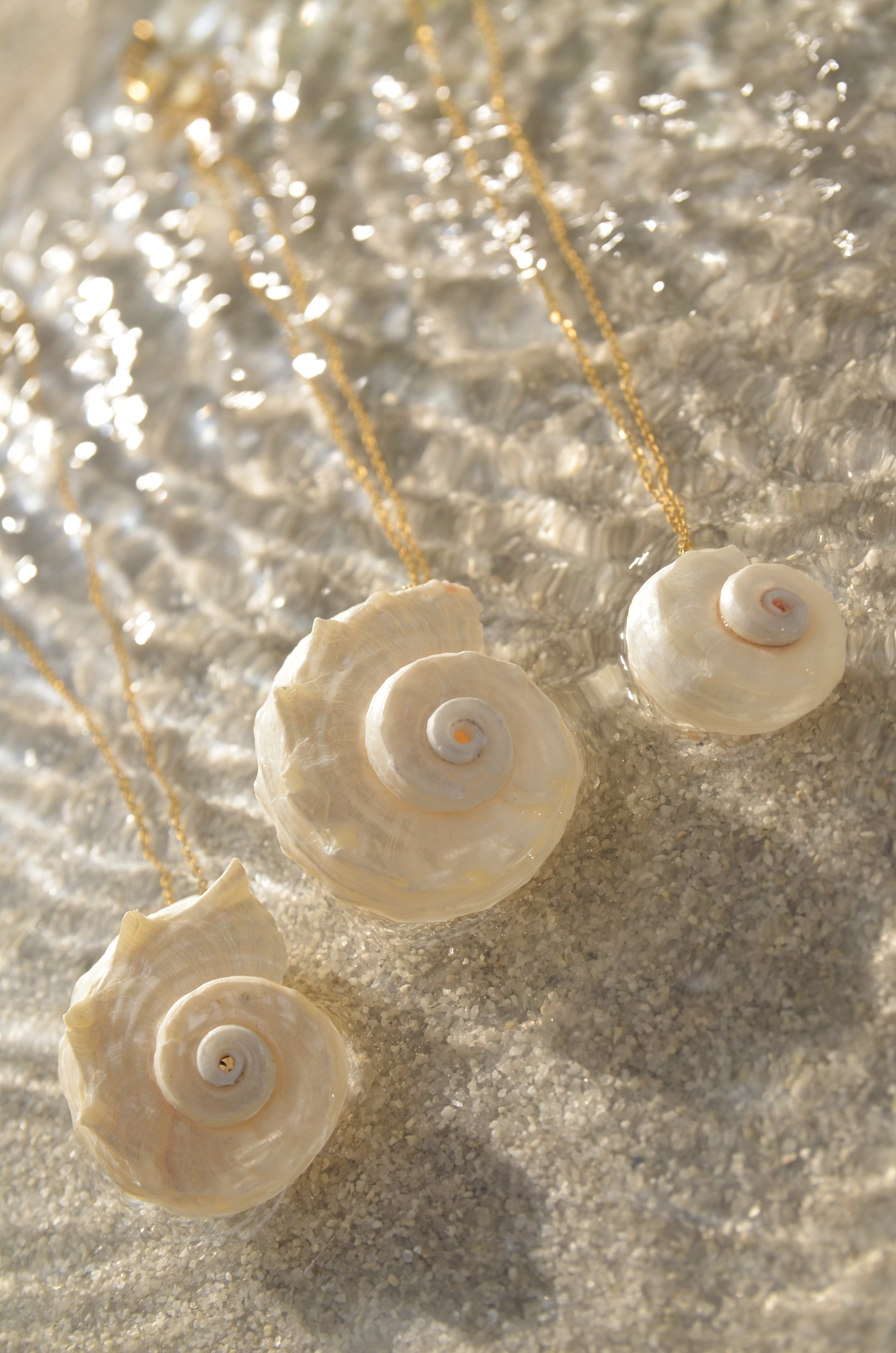 hannah blount little moon snail shell necklace | salt hill | fargo | unique  modern, vintage engagement rings, jewelry