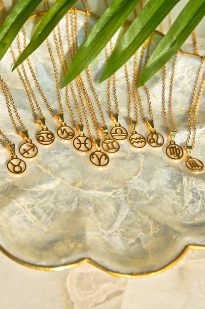 ZODIAC SIGN COIN NECKLACE ( WATERPROOF)